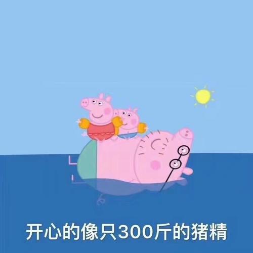 漳州泰强驾校,驾校学车,学车,泉州,晋江,小车培训,考驾照