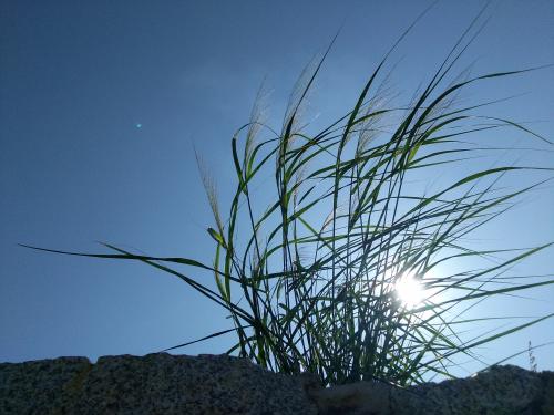 漳州泰强驾校,驾校学车,学车,泉州,晋江,小车培训,考驾照