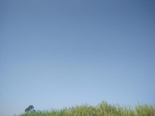 漳州泰强驾校,驾校学车,学车,泉州,晋江,小车培训,考驾照