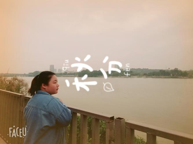 漳州泰强驾校,驾校学车,学车,泉州,晋江,小车培训,考驾照