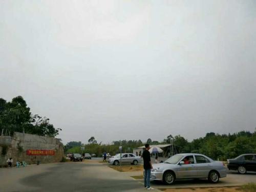 漳州泰强驾校,驾校学车,学车,泉州,晋江,小车培训,考驾照