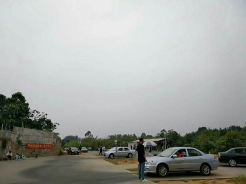 漳州泰强驾校,驾校学车,学车,泉州,晋江,小车培训,考驾照