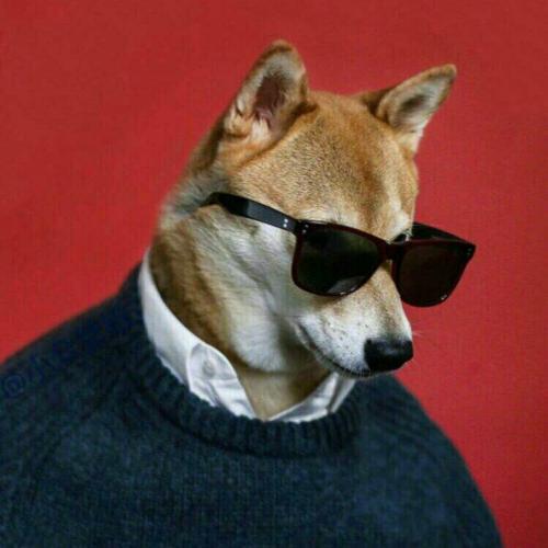 漳州泰强驾校,驾校学车,学车,泉州,晋江,小车培训,考驾照