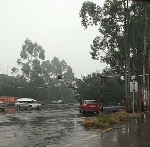 漳州泰强驾校,驾校学车,学车,泉州,晋江,小车培训,考驾照