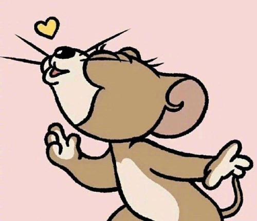 漳州泰强驾校,驾校学车,学车,泉州,晋江,小车培训,考驾照