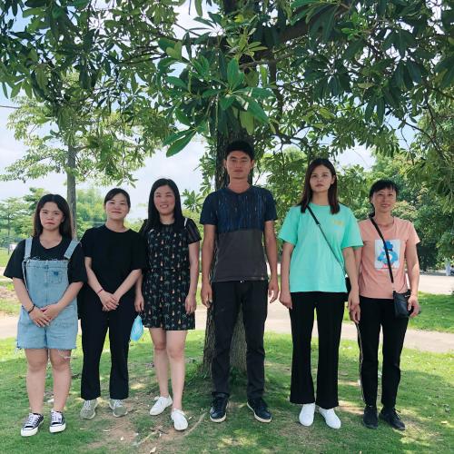 漳州泰强驾校,驾校学车,学车,泉州,晋江,小车培训,考驾照