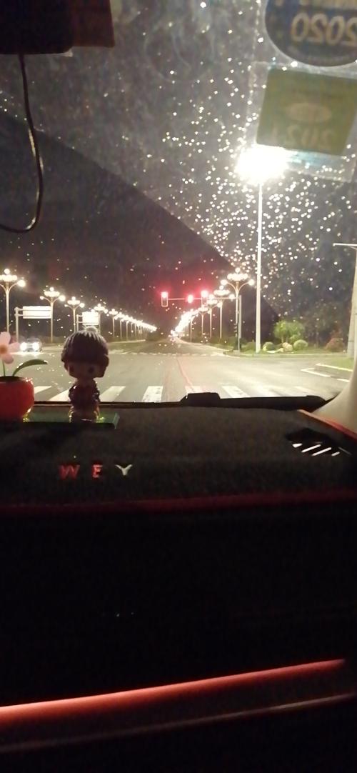 漳州泰强驾校,驾校学车,学车,泉州,晋江,小车培训,考驾照