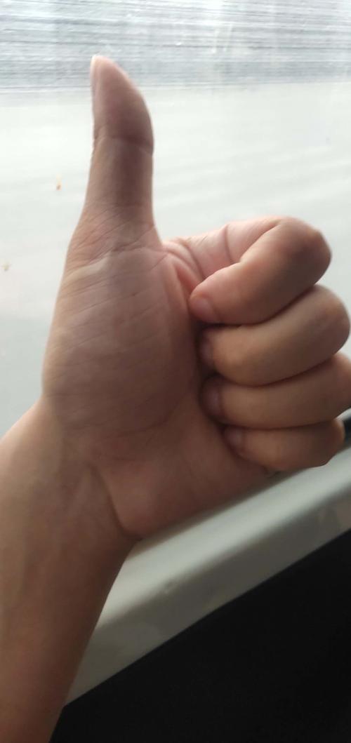 漳州泰强驾校,驾校学车,学车,泉州,晋江,小车培训,考驾照