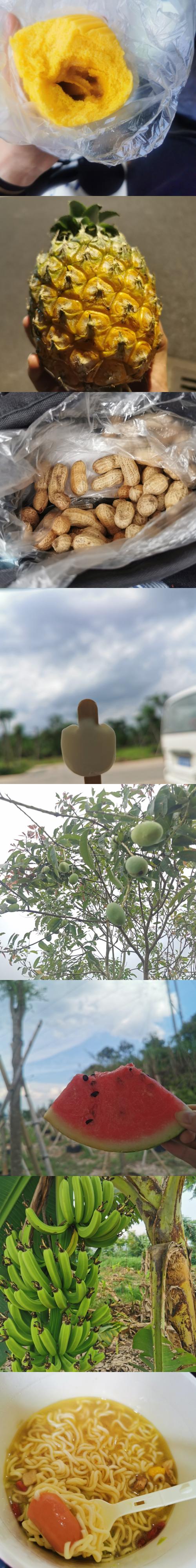 漳州泰强驾校,驾校学车,学车,泉州,晋江,小车培训,考驾照