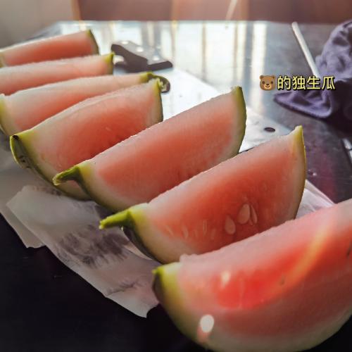 漳州泰强驾校,驾校学车,学车,泉州,晋江,小车培训,考驾照