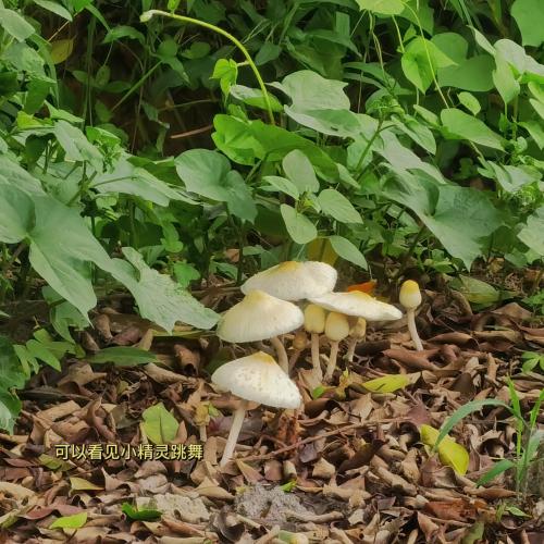 漳州泰强驾校,驾校学车,学车,泉州,晋江,小车培训,考驾照