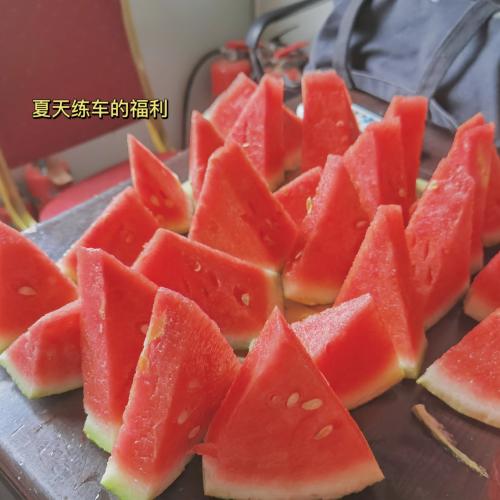 漳州泰强驾校,驾校学车,学车,泉州,晋江,小车培训,考驾照