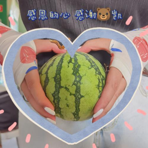 漳州泰强驾校,驾校学车,学车,泉州,晋江,小车培训,考驾照