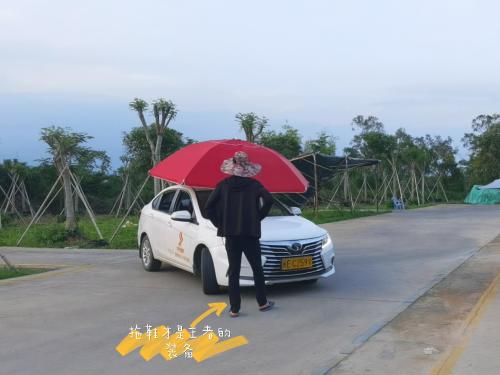 漳州泰强驾校,驾校学车,学车,泉州,晋江,小车培训,考驾照