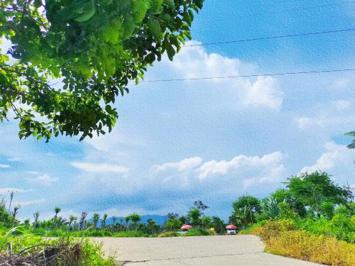 漳州泰强驾校,驾校学车,学车,泉州,晋江,小车培训,考驾照