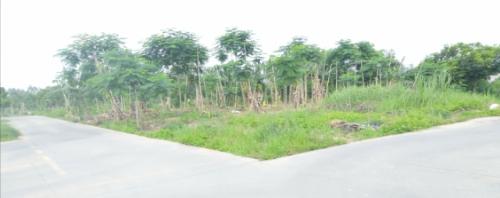 漳州泰强驾校,驾校学车,学车,泉州,晋江,小车培训,考驾照