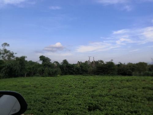 漳州泰强驾校,驾校学车,学车,泉州,晋江,小车培训,考驾照