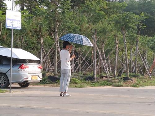 漳州泰强驾校,驾校学车,学车,泉州,晋江,小车培训,考驾照