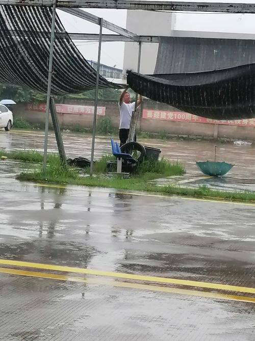 漳州泰强驾校,驾校学车,学车,泉州,晋江,小车培训,考驾照