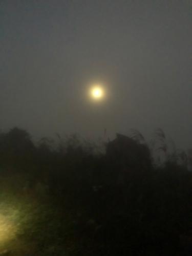 漳州泰强驾校,驾校学车,学车,泉州,晋江,小车培训,考驾照