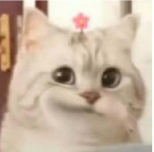 漳州泰强驾校,驾校学车,学车,泉州,晋江,小车培训,考驾照