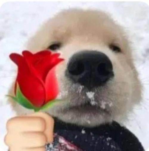 漳州泰强驾校,驾校学车,学车,泉州,晋江,小车培训,考驾照