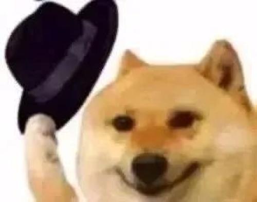 漳州泰强驾校,驾校学车,学车,泉州,晋江,小车培训,考驾照