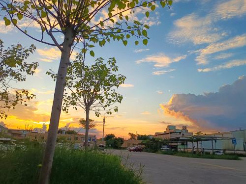 漳州泰强驾校,驾校学车,学车,泉州,晋江,小车培训,考驾照