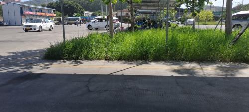 漳州泰强驾校,驾校学车,学车,泉州,晋江,小车培训,考驾照