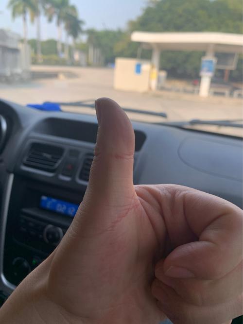 漳州泰强驾校,驾校学车,学车,泉州,晋江,小车培训,考驾照