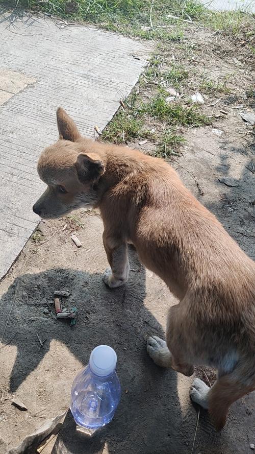 漳州泰强驾校,驾校学车,学车,泉州,晋江,小车培训,考驾照