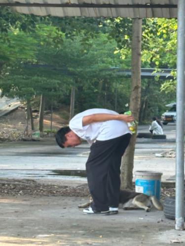 漳州泰强驾校,驾校学车,学车,泉州,晋江,小车培训,考驾照