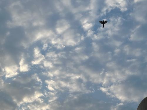 漳州泰强驾校,驾校学车,学车,泉州,晋江,小车培训,考驾照