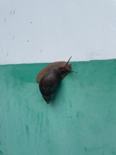 漳州泰强驾校,驾校学车,学车,泉州,晋江,小车培训,考驾照