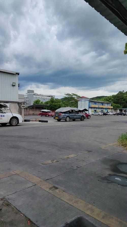 漳州泰强驾校,驾校学车,学车,泉州,晋江,小车培训,考驾照