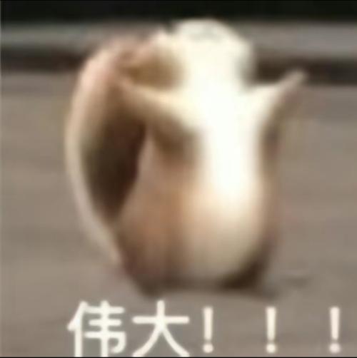 漳州泰强驾校,驾校学车,学车,泉州,晋江,小车培训,考驾照