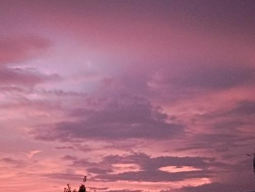 漳州泰强驾校,驾校学车,学车,泉州,晋江,小车培训,考驾照