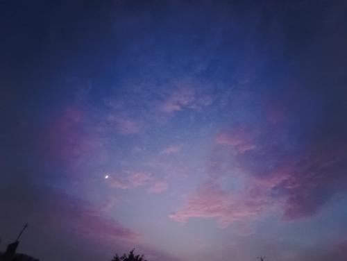 漳州泰强驾校,驾校学车,学车,泉州,晋江,小车培训,考驾照