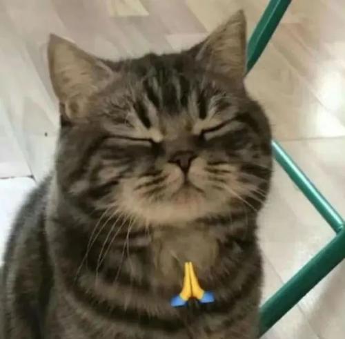 漳州泰强驾校,驾校学车,学车,泉州,晋江,小车培训,考驾照