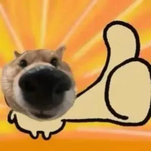 漳州泰强驾校,驾校学车,学车,泉州,晋江,小车培训,考驾照