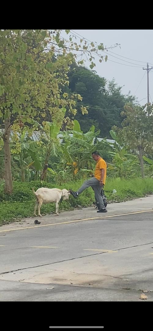 漳州泰强驾校,驾校学车,学车,泉州,晋江,小车培训,考驾照