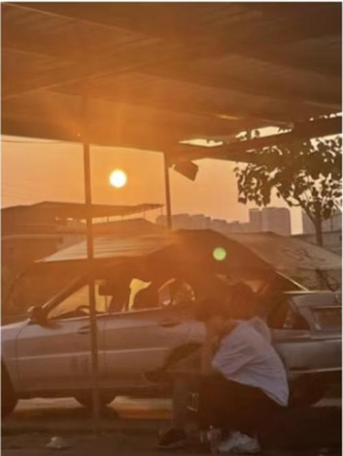 漳州泰强驾校,驾校学车,学车,泉州,晋江,小车培训,考驾照