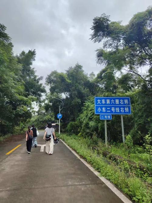 漳州泰强驾校,驾校学车,学车,泉州,晋江,小车培训,考驾照