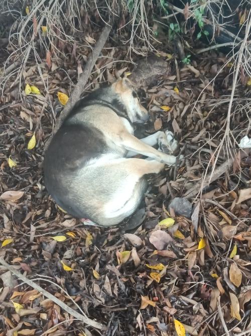 漳州泰强驾校,驾校学车,学车,泉州,晋江,小车培训,考驾照
