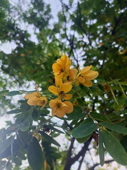 漳州泰强驾校,驾校学车,学车,泉州,晋江,小车培训,考驾照