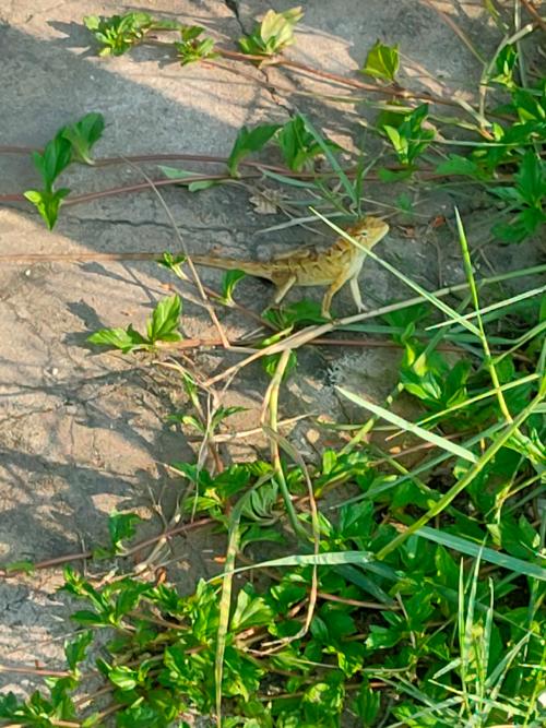 漳州泰强驾校,驾校学车,学车,泉州,晋江,小车培训,考驾照