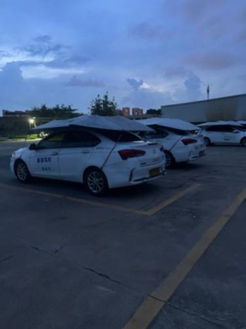 漳州泰强驾校,驾校学车,学车,泉州,晋江,小车培训,考驾照