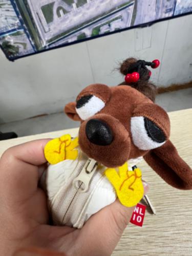 漳州泰强驾校,驾校学车,学车,泉州,晋江,小车培训,考驾照